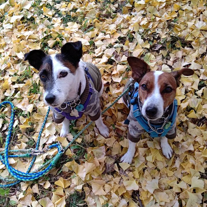 0808b12e c75f 4b31 a33d 9acbcdae3d07 1637469854211