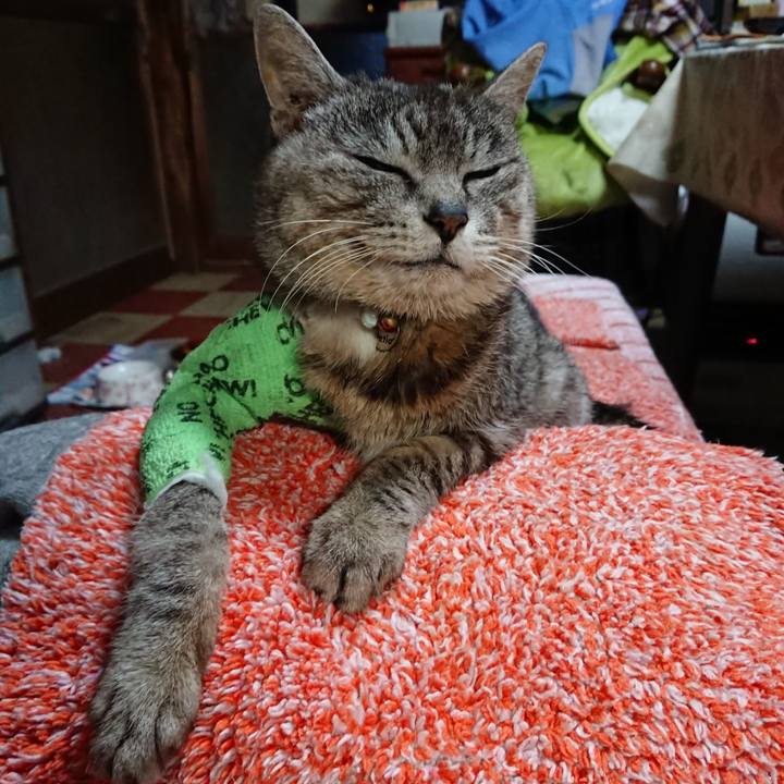 0808b369 574f 448c 9116 e8dd9b304243 1587240956988