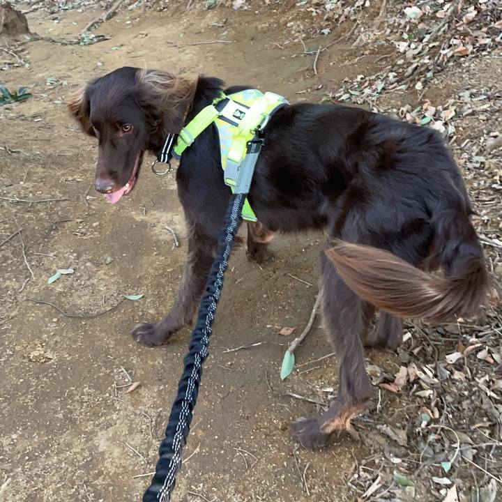 0808bdc6 71ef 4921 b978 9c12f75f9db3 1614175744316