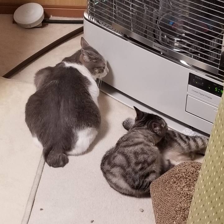 0808d1c0 fc4e 4163 82b3 efe0cf83a114 1678713073099