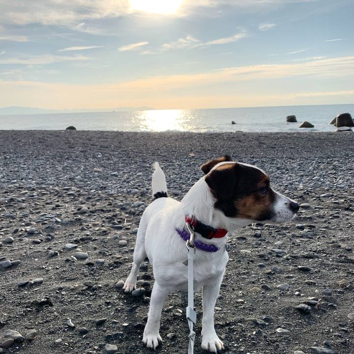 0808d8c0 ca67 480c b7a2 e9f01f393424 1576375429137