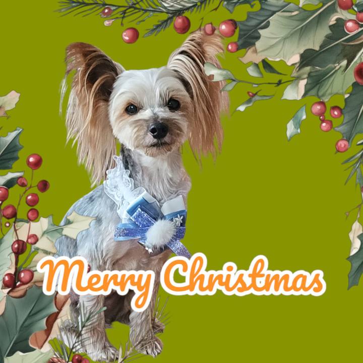 08090fc2 839e 423d 9de5 33177d5ae9a5 1735025043742