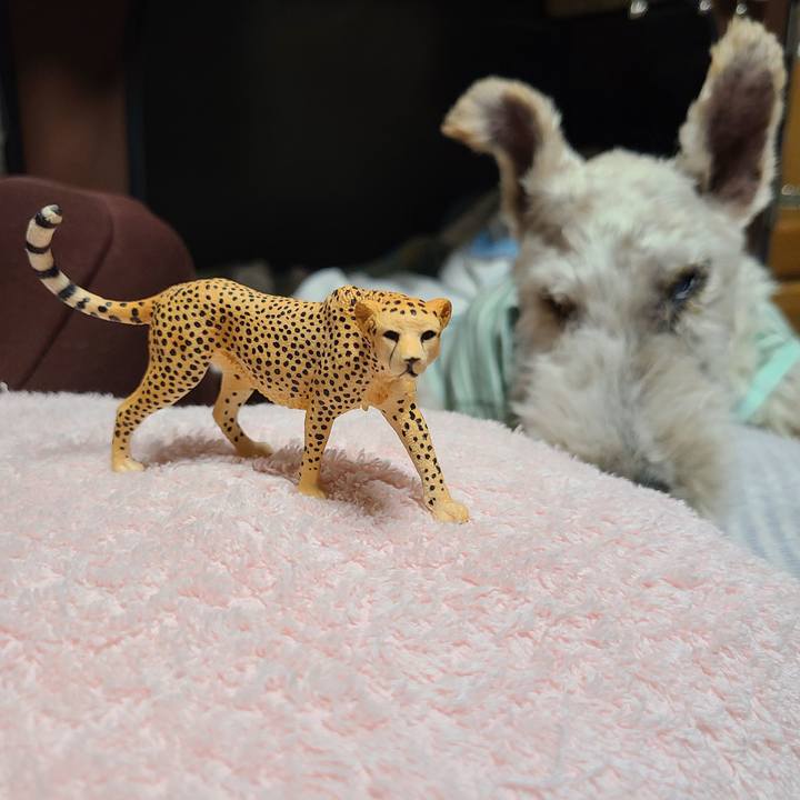 080925e4 3e6a 443e 9f21 1137699d5c1a 1698414107576