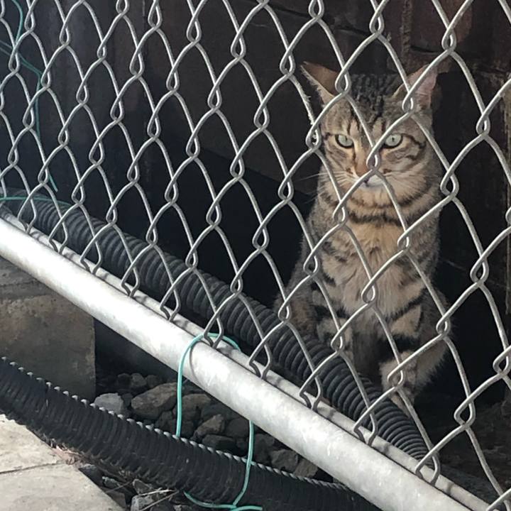 08096b3f 2f30 46c3 b6ed 163c2c5152ad 1562344738361