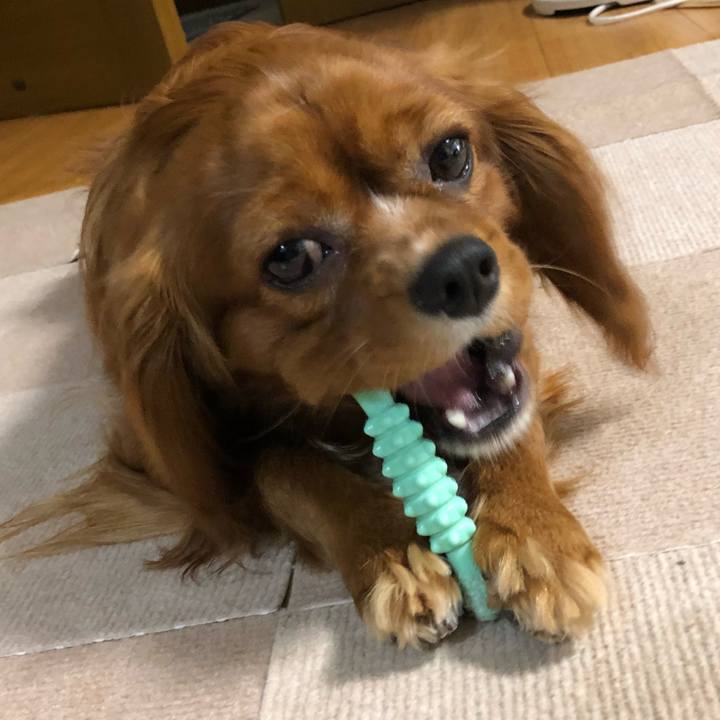 080976e3 6068 47d9 ab2a 5c497a411014 1525904598910