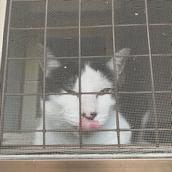 0809ea63 217e 4af0 8180 5487526e74d8 1721956022860