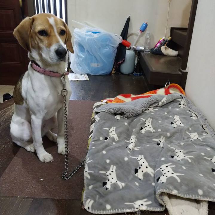 0809ea78 fc70 42eb 988e 3c2fa76234e3 1580733563015