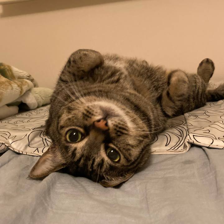 080a1efc c438 4ca9 9b23 f57787f57d1a 1650889653159