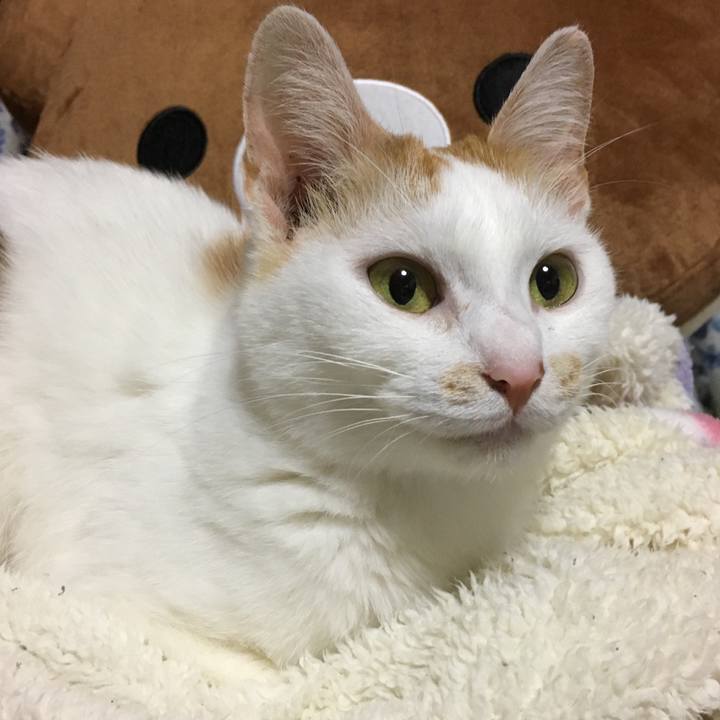 080a692d 6bf0 484c bde6 b6a3712961c6 1525519187830