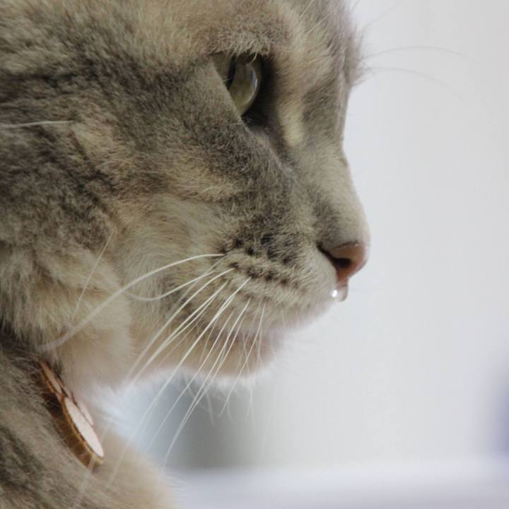 080a72f2 e715 4db0 a582 d58ee11b45e3 1615263964268