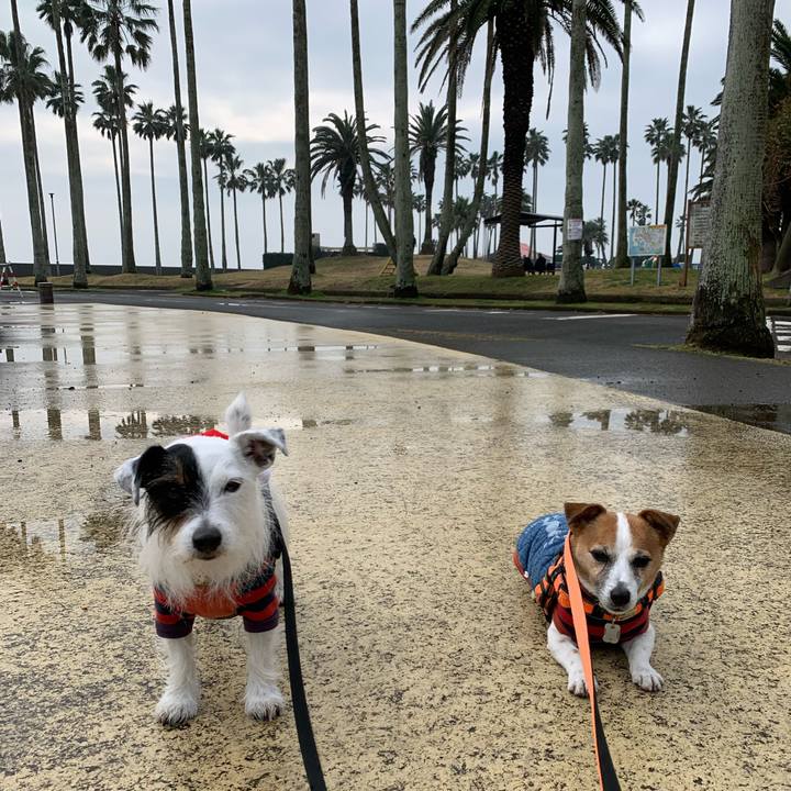 080aed58 e2cb 4804 9339 2abdaebede31 1640395680503