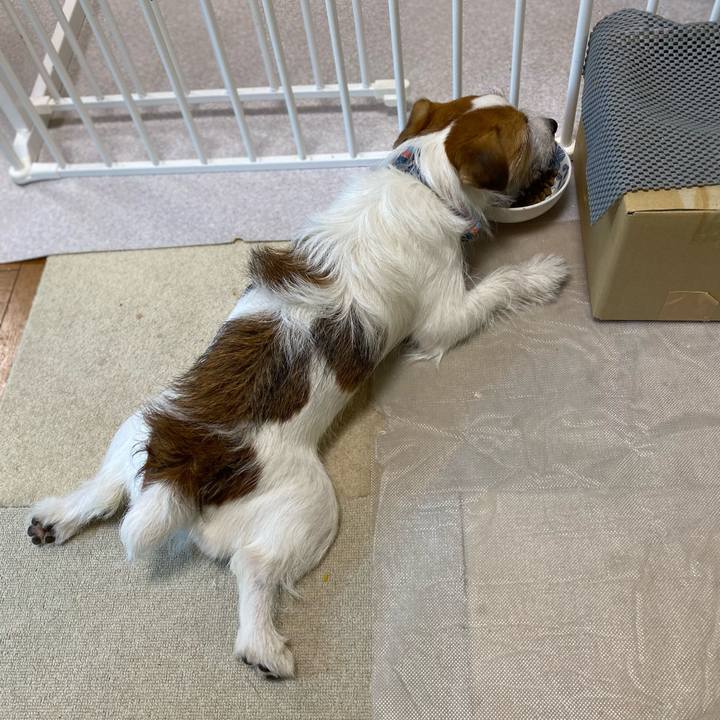 080b1bee 5a67 4796 b303 e8744d10e4b0 1693865699498