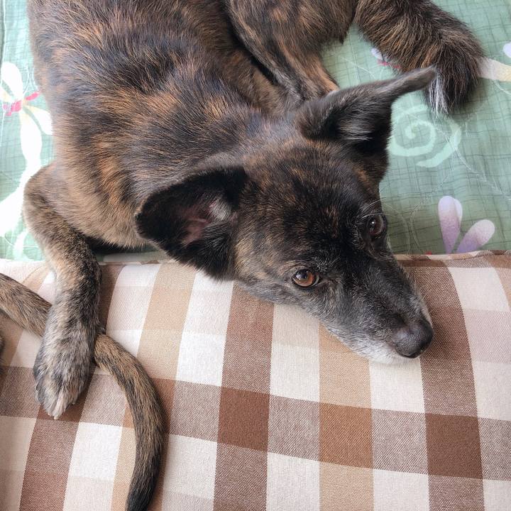 080b1e81 a916 4e13 a982 590ca41933d7 1571023369206