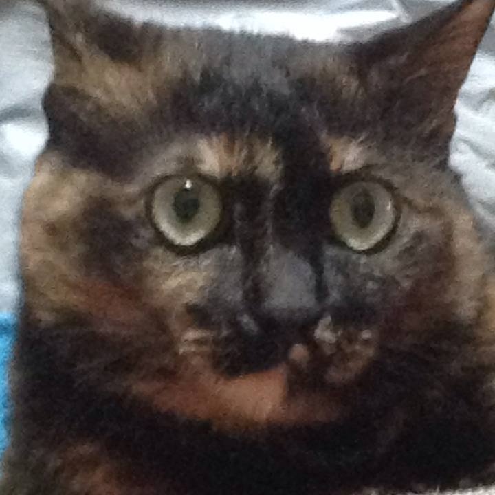 080b33c6 2eff 4856 aac6 5bd47c85fe73 1526732287157