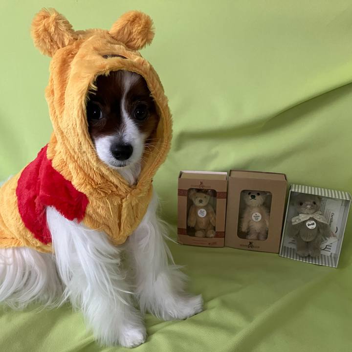 080b376e a636 494c a82d 19aaa9d3950f 1738381380499