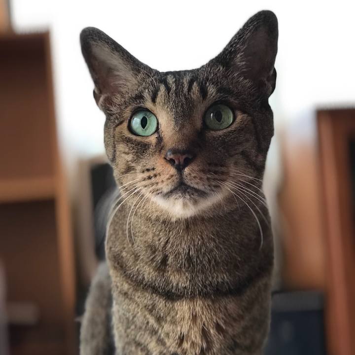 080b3b08 49f4 4764 990e 653ebebb65b3 1530411464560