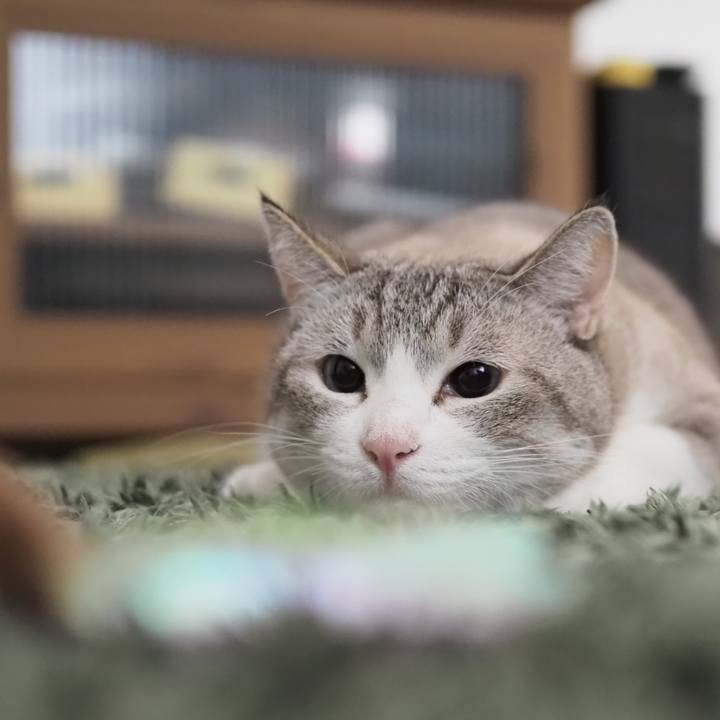 080b474b dd83 4327 ae97 95aab71c7223 1599285330177