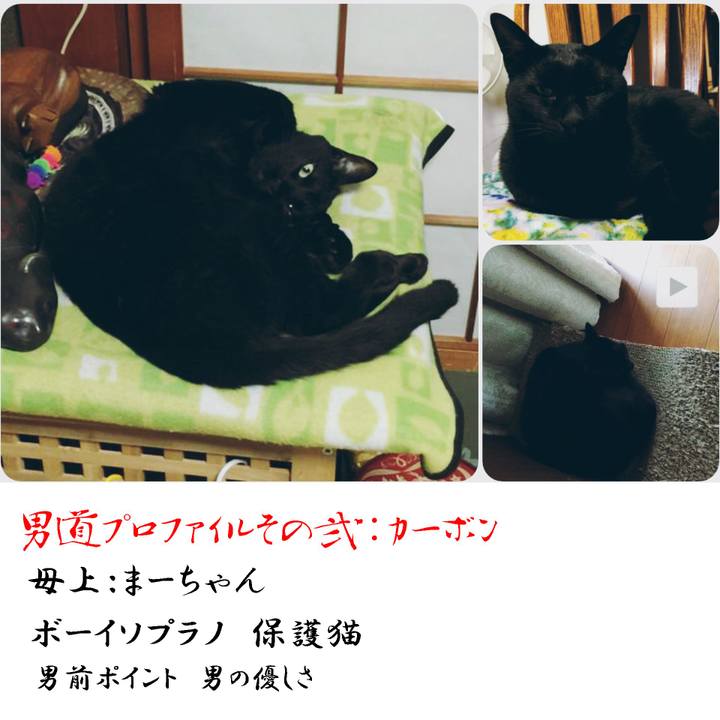 080b74e6 df4d 4957 987a db6a2bb99044 1566044001630