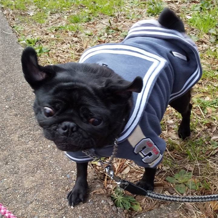 080b8082 8a74 40f8 bdaa d23712e18c43 1582096909996