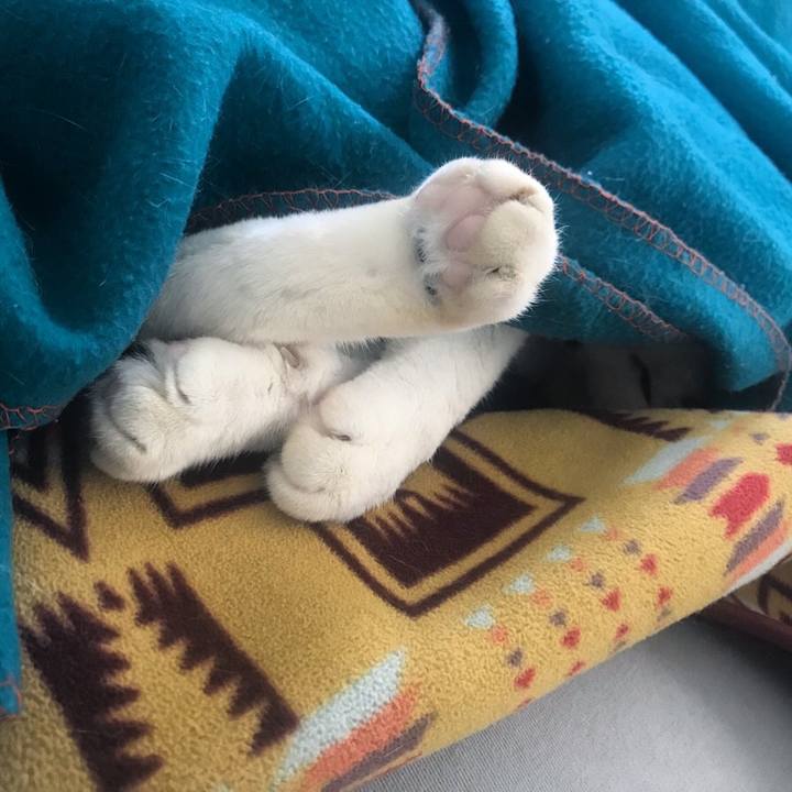 080b9cae 725a 4065 b621 6ed9db2513d2 1522825386567