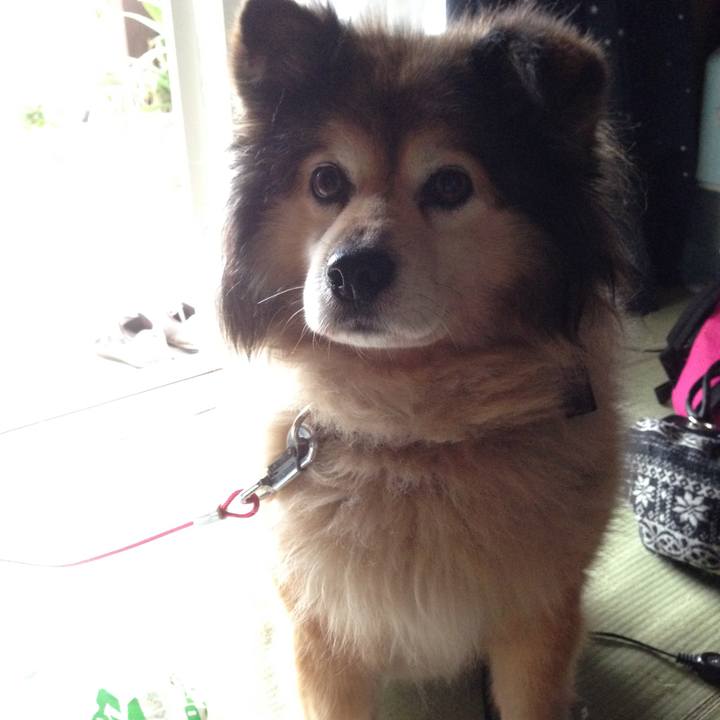 080ba97c f256 484d 9d13 985406d8dadc 1551045601696