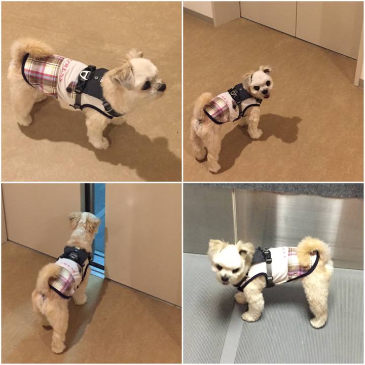 080bc642 3dcb 4e46 95e7 1992709334dd 1566472229635