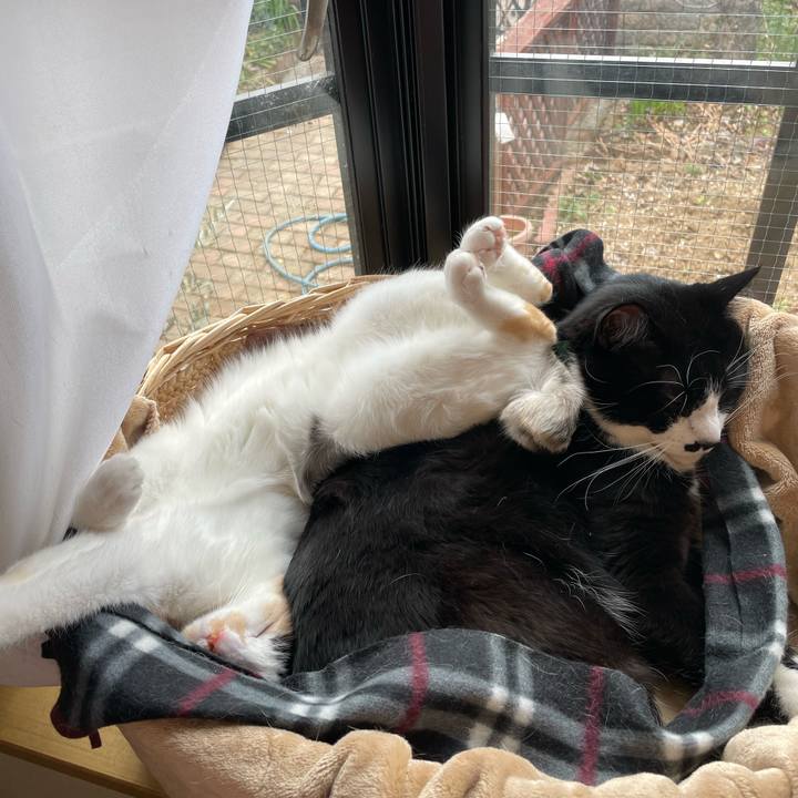 080bea19 c5e5 4190 a000 e6101ca5b994 1709596228207