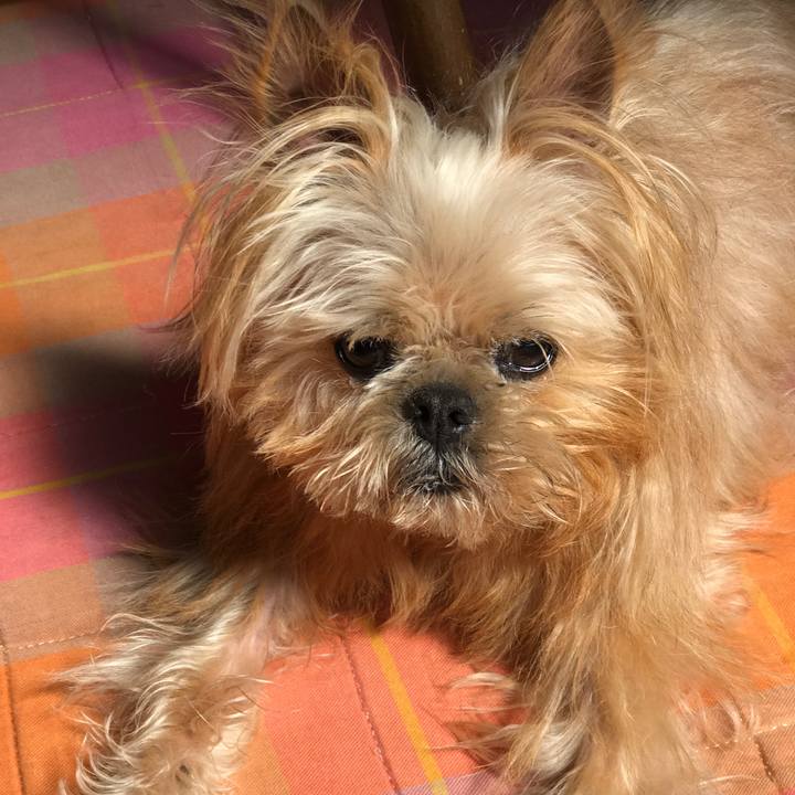 080bf14a 284d 4eac b8d5 c8ac137a6633 1585100034921