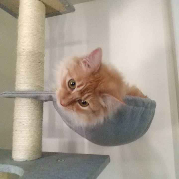 080c31c5 c8ea 46c4 afba 47436de68026 1650097678194