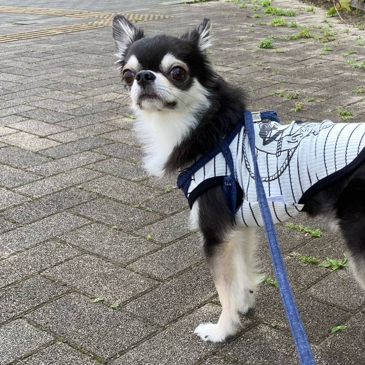 080cc02a 8f57 4f67 bbb1 29f4e1e63de3 1685203276192