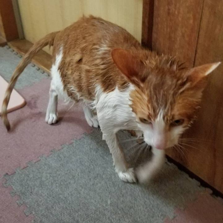 080ce39d 6205 4366 911c a7ab5e88dba3 1517046474399