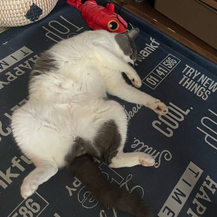 080cf376 d1e8 42d7 881e efb01c01afed 1721452730804