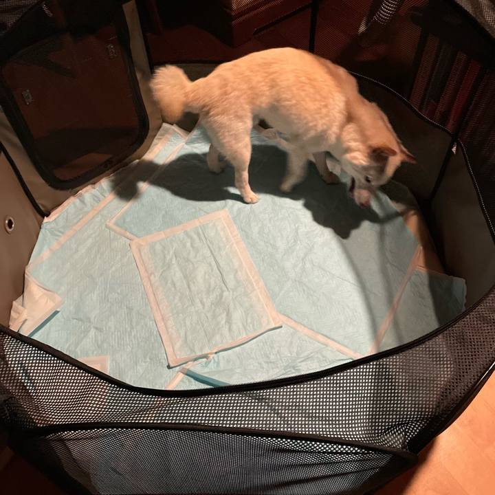 080d2dcf 1d81 49ad 9da7 df8471dfaa5b 1649848740356