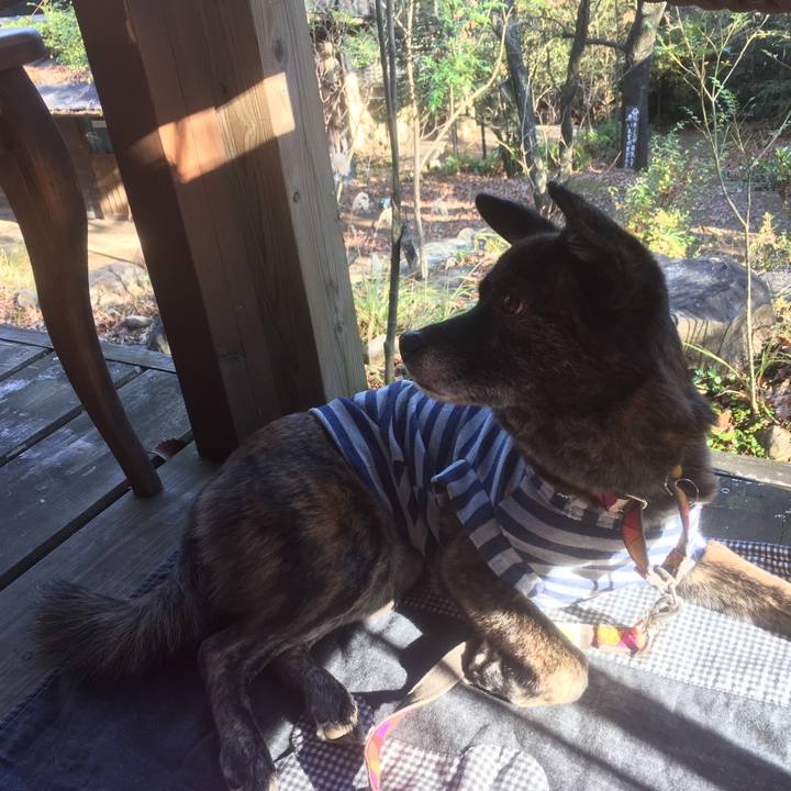 080d4ac9 147a 4898 ad77 b55468ef5cf1 1545820248783