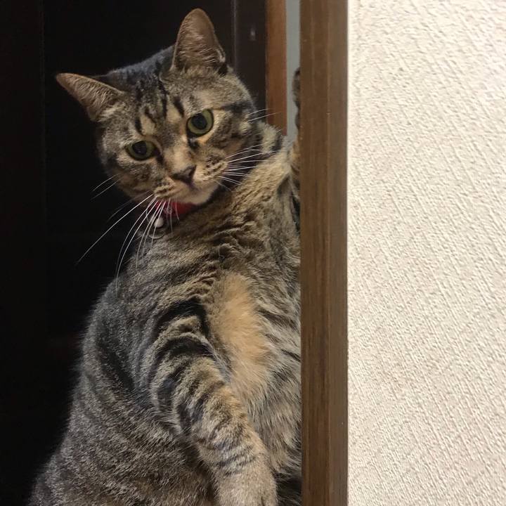 080d4ae5 9ed7 43a8 a917 d4be0298a785 1594399799675