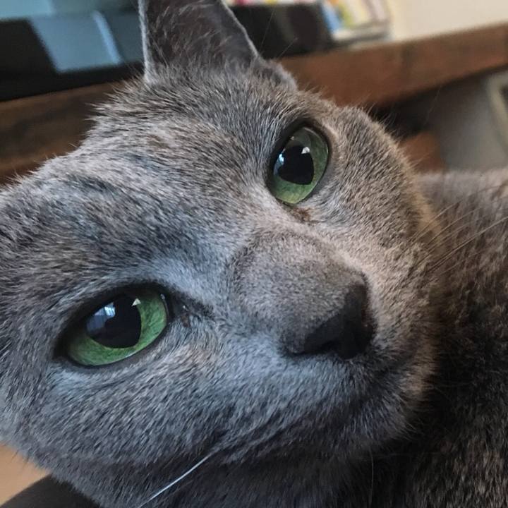 080d6a97 5d67 40e8 9566 b9c5bd507ce3 1553226049967