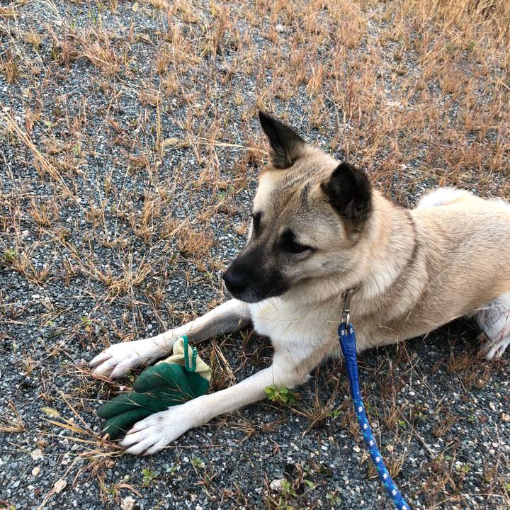 080d9da1 63ef 4b81 9284 a500d47a3f77 1571139339384