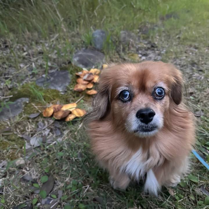 080dd852 3685 447a 985b c18d880c7252 1762291851782