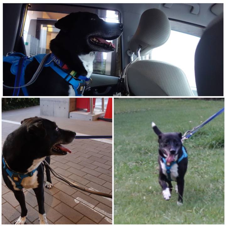 080e0457 f372 410e 8359 421cd1650bf3 1689678554731