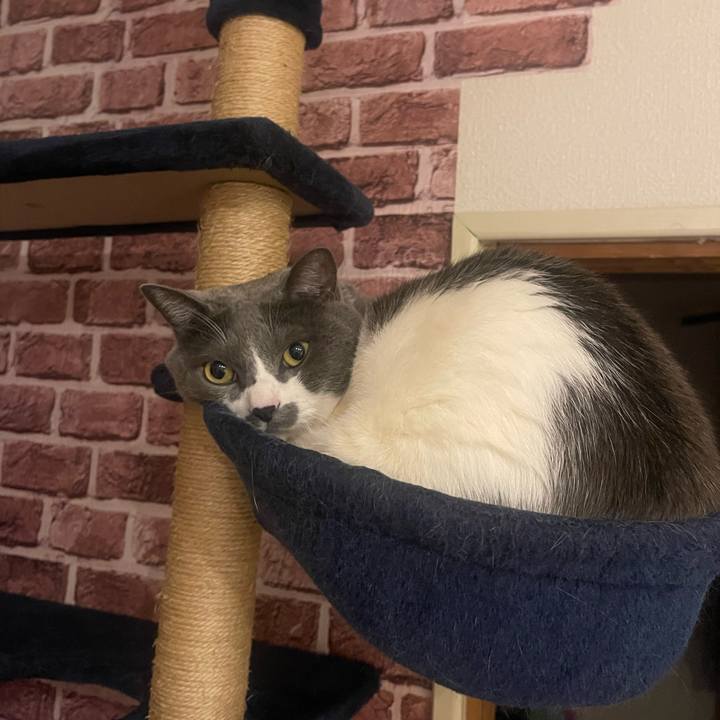 080e0b6d c258 48bd 8e3a c4a0c312f8ff 1738241090510