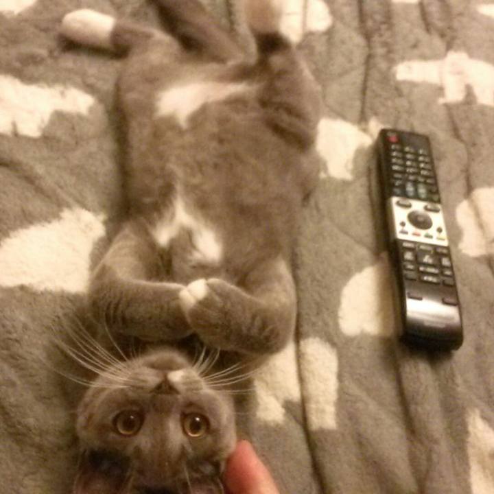 080e119d 04fc 4e8d 92f2 5d9e3a6195d4 1536408093670