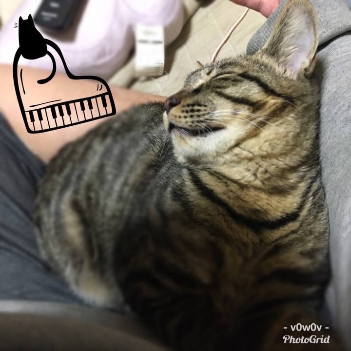 080e1600 398e 4426 a57b 2a46984ac1be 1543831903770