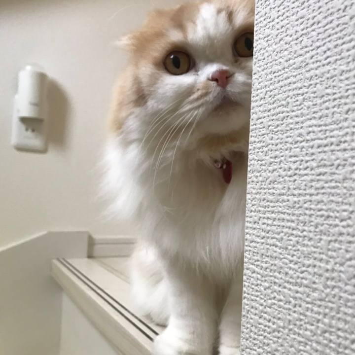 080e3fed 7c89 40cf a8be ab730c5e4c08 1586609585764