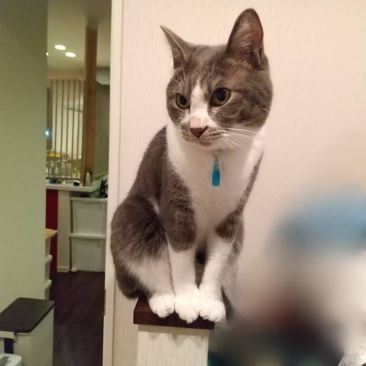 080e4a96 5bcb 4781 bec8 f61e435dc4a1 1631539205523