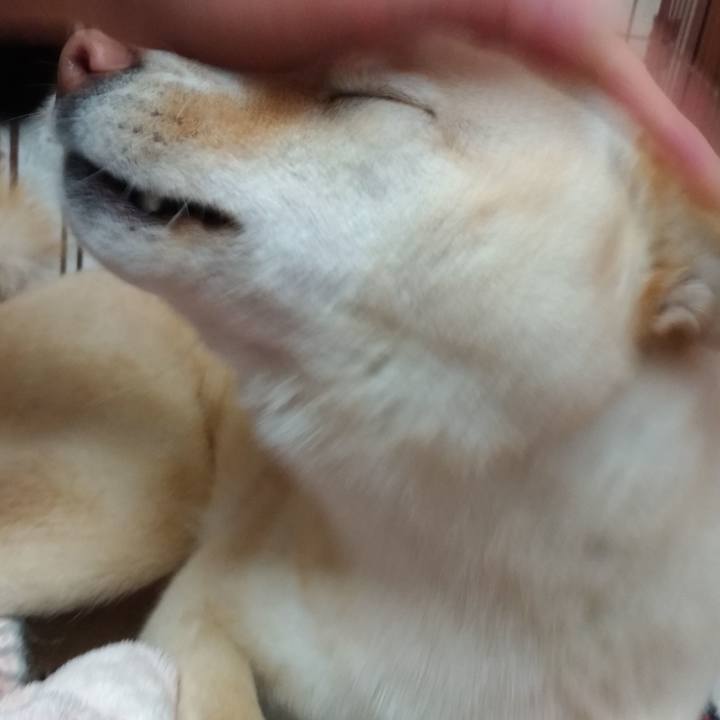 080e9edf 28c7 4410 bffa 85b40afcb1c7 1553599750850