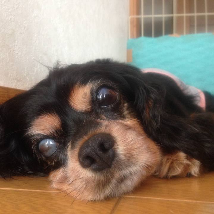 080ede7c 7865 4156 a017 b168cadd89cd 1532311762436