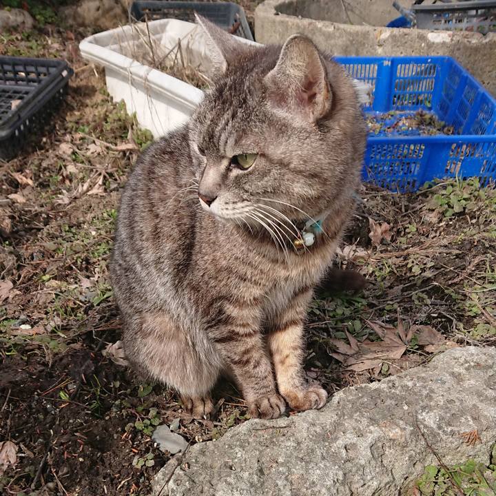 080edf95 d311 4be6 a8ea 76d47bd1752e 1552188171161