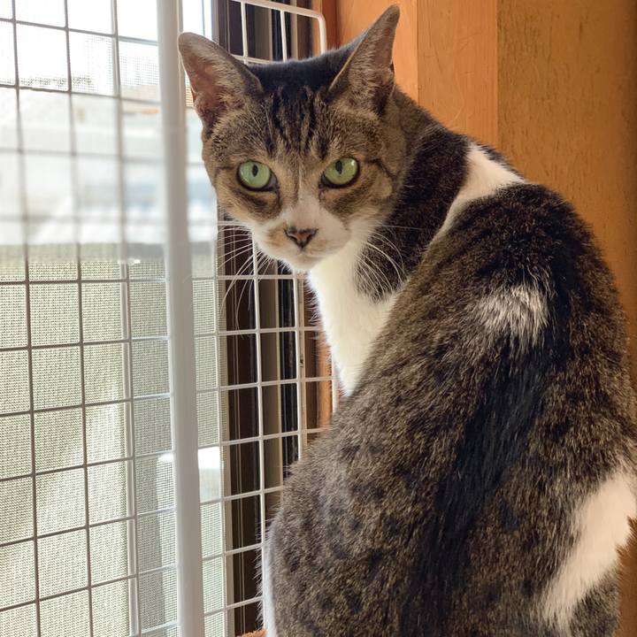 080f1704 a7ba 47ca a237 ac8ed285b339 1601428323807