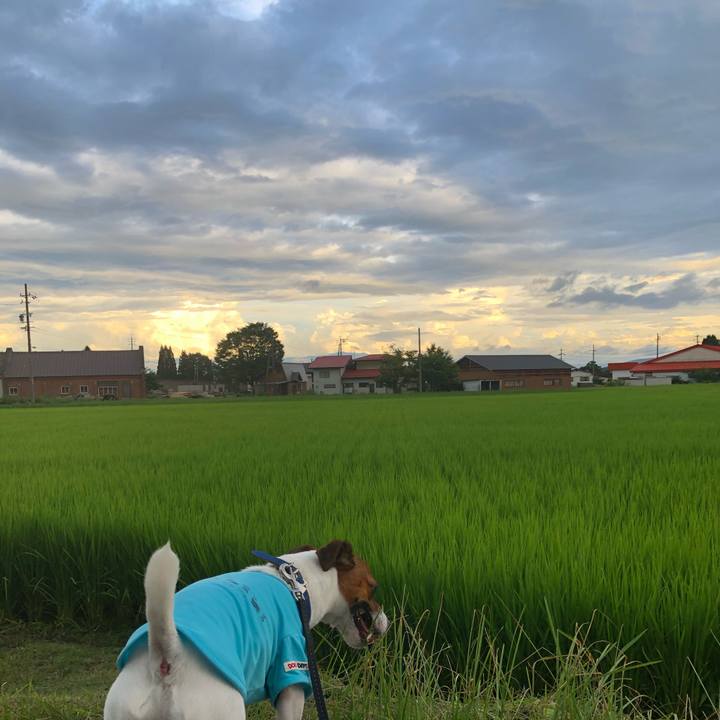 080f4e15 dfb7 43bb 9746 c3a2e0cd1c43 1597228289646