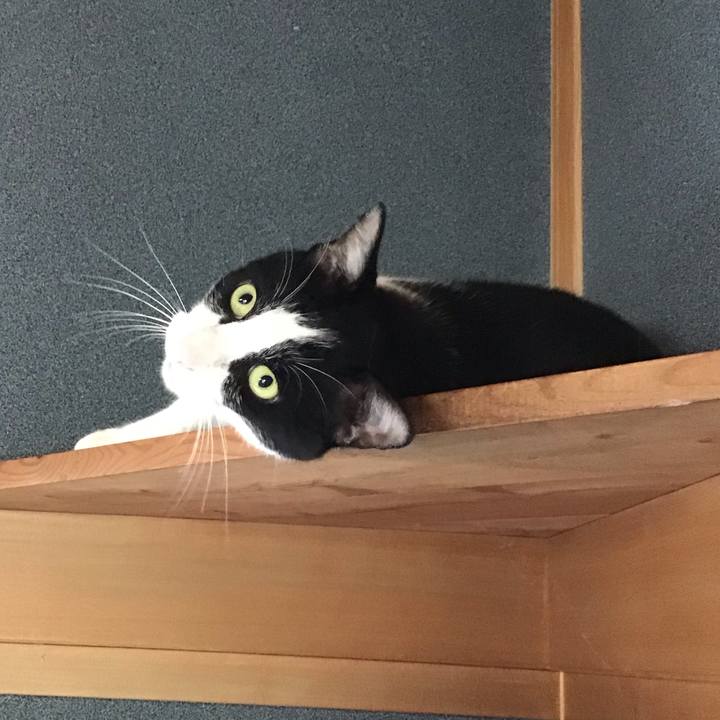 080f68a9 7fa8 4e88 b83e 96aa08b5f37b 1719649054178